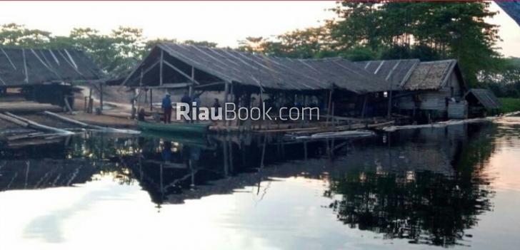 150 Batang Kayu Hasil Illegal Logging Diamankan, Pelaku Digiring Polisi