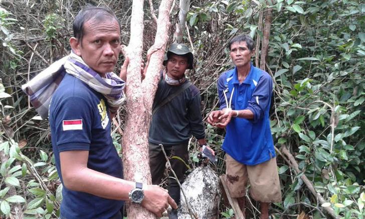 Tim Gabungan Polres Bengkalis dan KLHK Riau Amankan Satu Orang Pelaku Illog Giam Siak Kecil