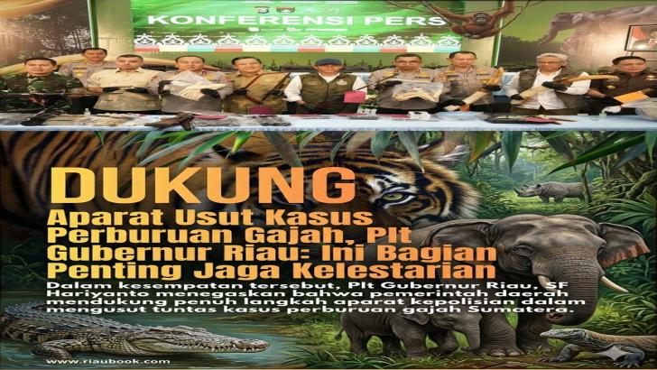 Dukung Aparat Usut Kasus Perburuan Gajah, Plt Gubernur Riau: Ini Bagian Penting Jaga Kelestarian