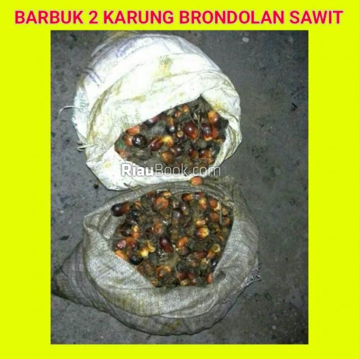 Malangnya, Dua Ibu Rumah Tangga Dilaporkan ke Polisi Usai Curi Brondolan Sawit Seharga Rp48 Ribu